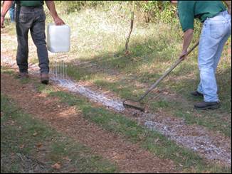 Figure 9---Application of Soil-Sement to bridle trail by drip-bucket method. Rakes were used to mix binder with EWF and level the trail. 